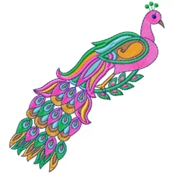 Beautiful Peacock solo Designs