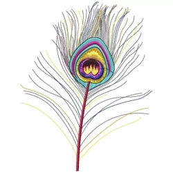 Colourful Peacock Tail Embroidery Designs