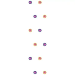 Dupatta Embroidery Designs4