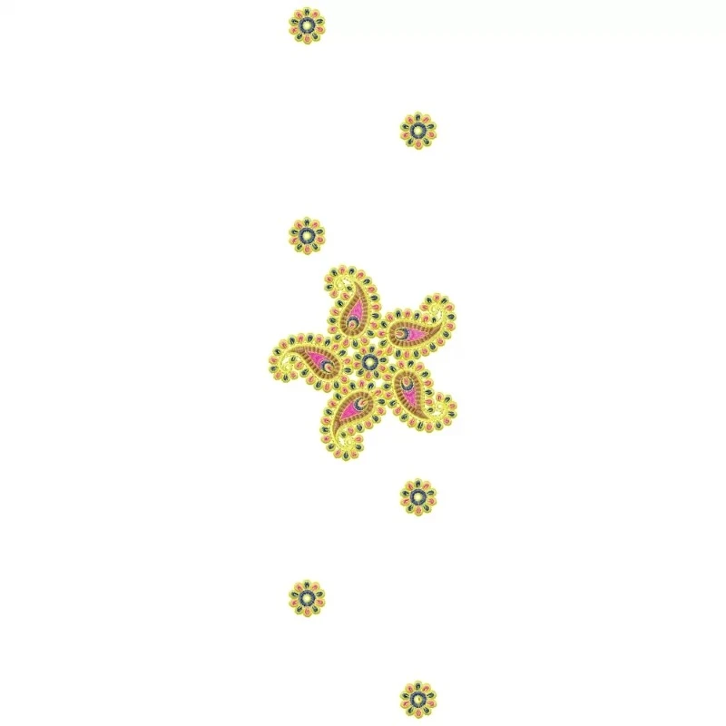 Indian Embroidery Dress Dupatta Design