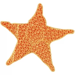 Realistic Star Fish Machine Embroidery Design