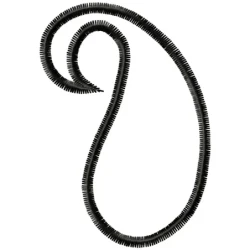 Simple Outline Paisley Embroidery Design