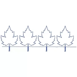 Mapple Line Art Continour Border Design