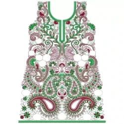 Old Traditional Indian Full Embroidery Dress Design