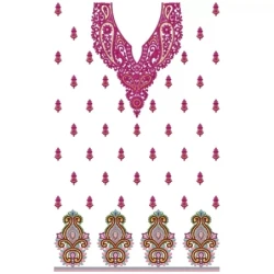 Pakistani Full Embroidery Dress Design