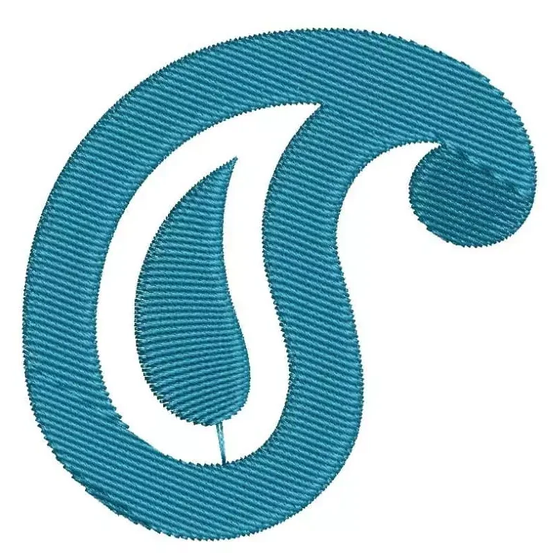 Indian Paisley Embroidery Design